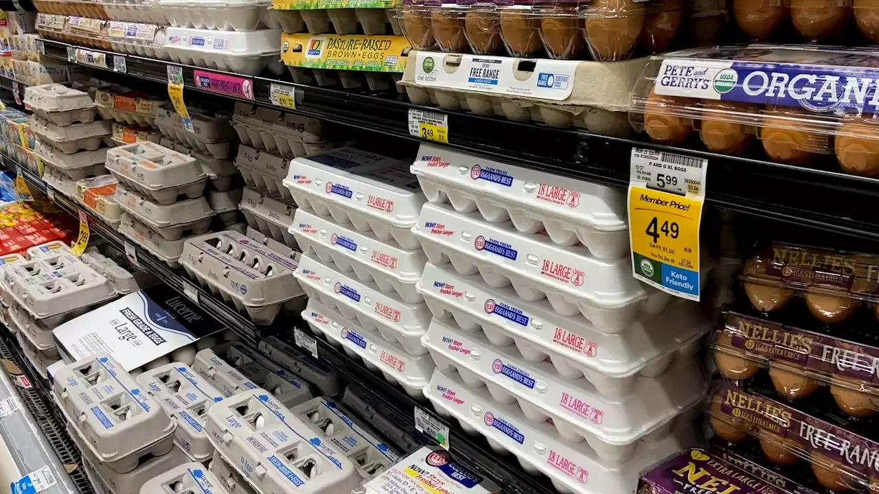 Column arguing eggs are 'really cheap' compared to 100 years ago blasted: 'Freaking nuts'