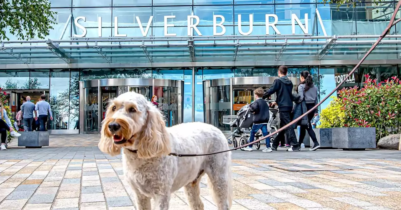 Silverburn to stop dog friendly trial amid 'dog poo' spotted in food court