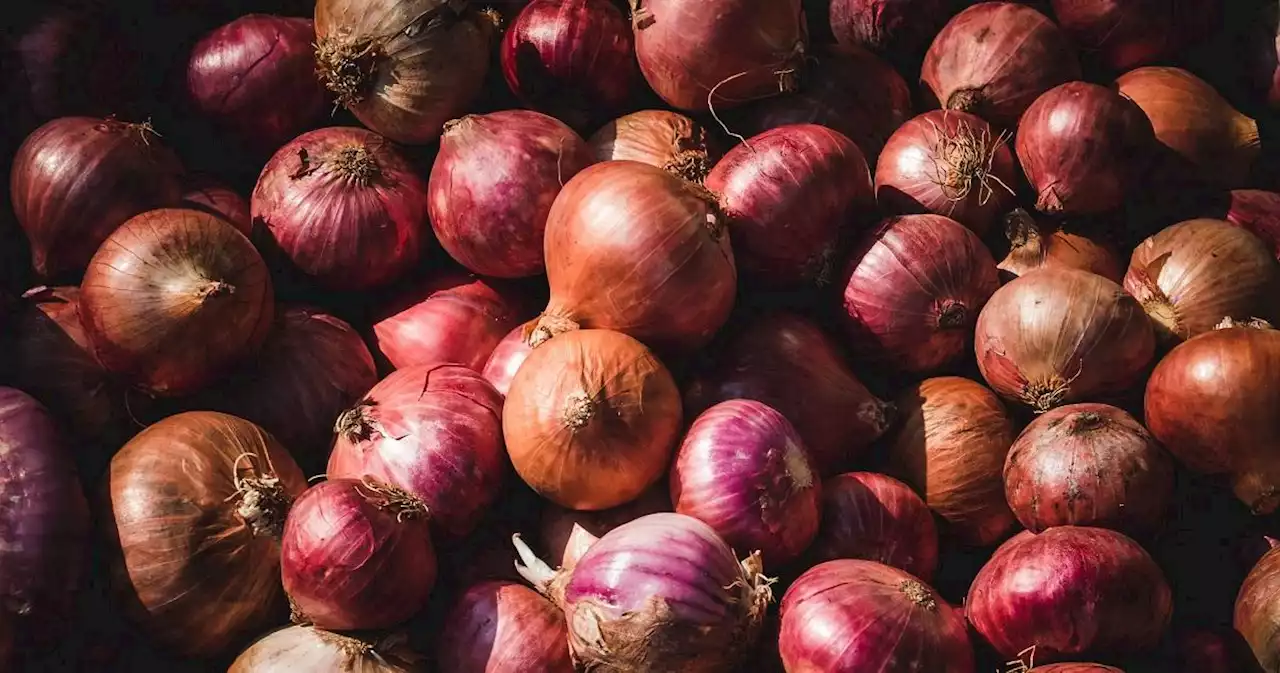 DA allots P327M to boost onion industry