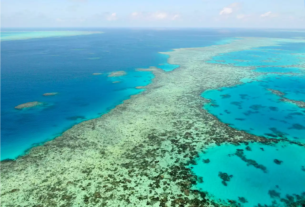 Australien stoppar kolgruva för att skydda Stora barriärrevet