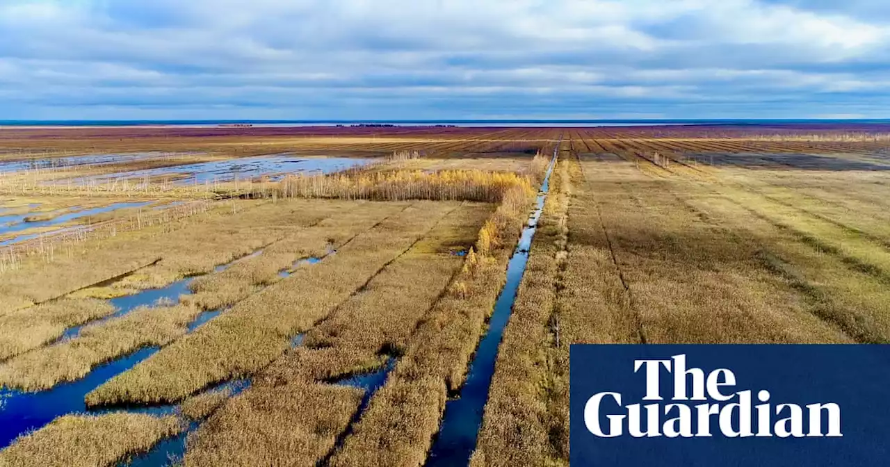 Half the wetlands in Europe lost in past 300 years, researchers calculate