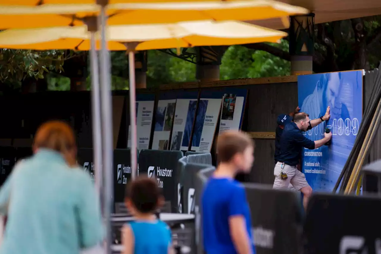 Houston Zoo vandalized with hole cut in fence around pelican habitat, police investigating