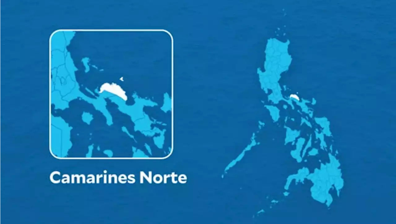 Camarines Norte suspends classes after 4.6 magnitude earthquake