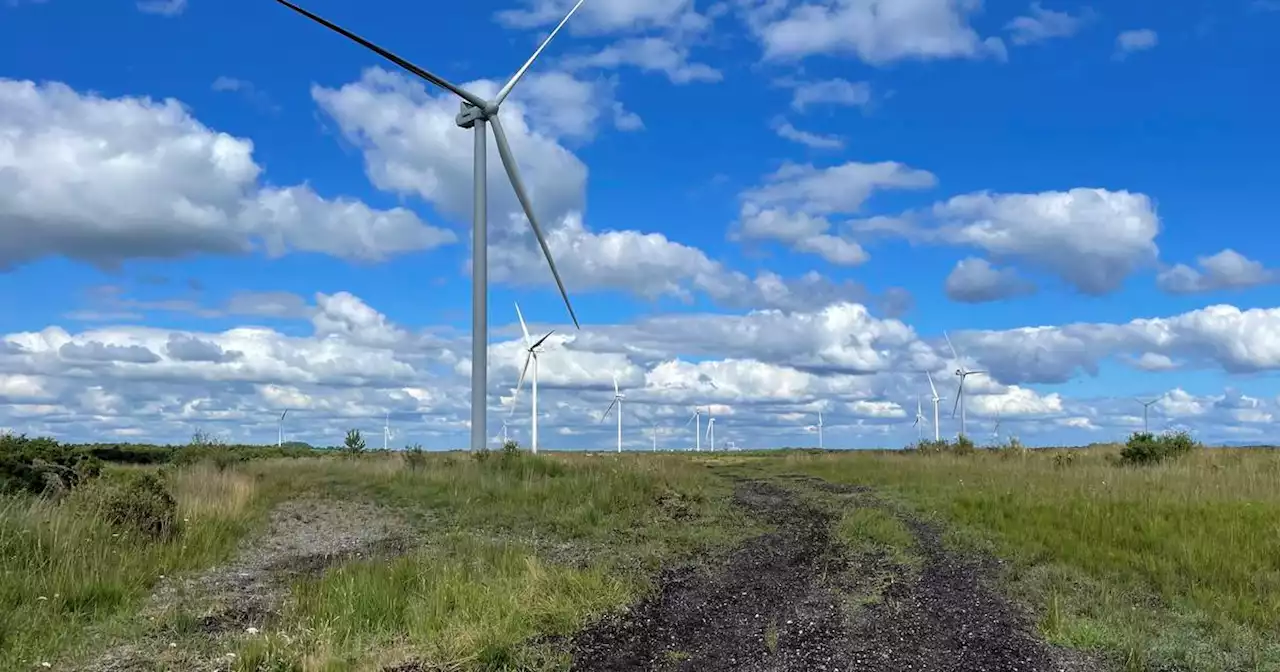 Wind farms produced 41% of Irish electricity in January