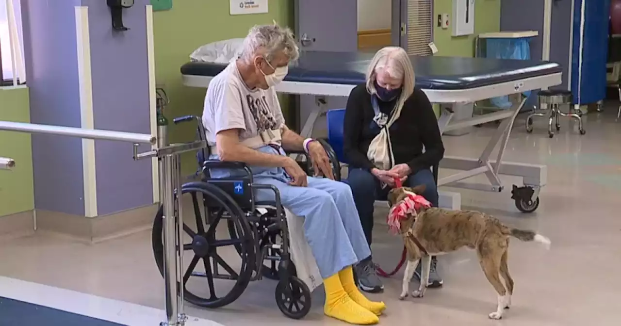 'Paws for Health' pet therapy program returns to St. Mary's Hospital