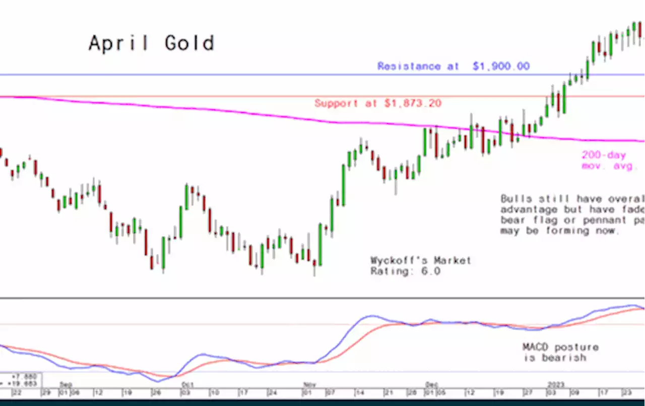 Wednesday's Charts for Gold, Silver and Platinum and Palladium, February 8