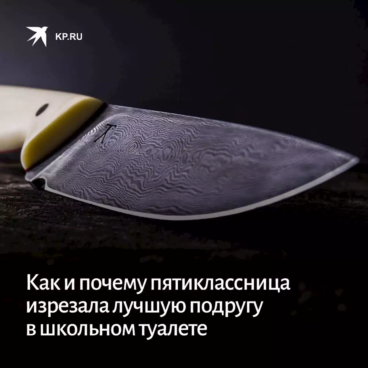 Ссора из-за мальчика и хладнокровная месть: Как и почему пятиклассница изрезала лучшую подругу в школьном туалете