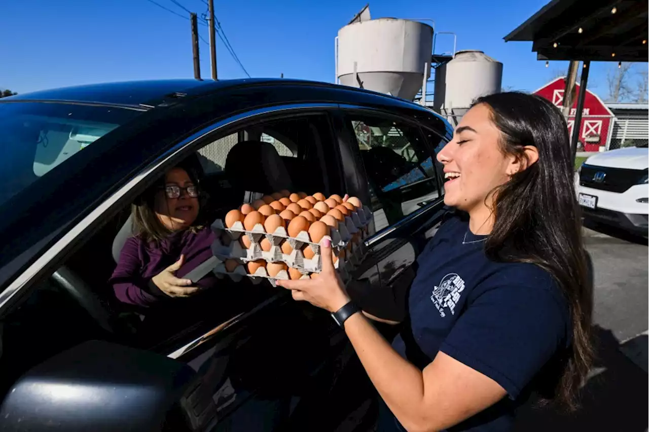 Price hikes have people across Southern California scrambling for eggs