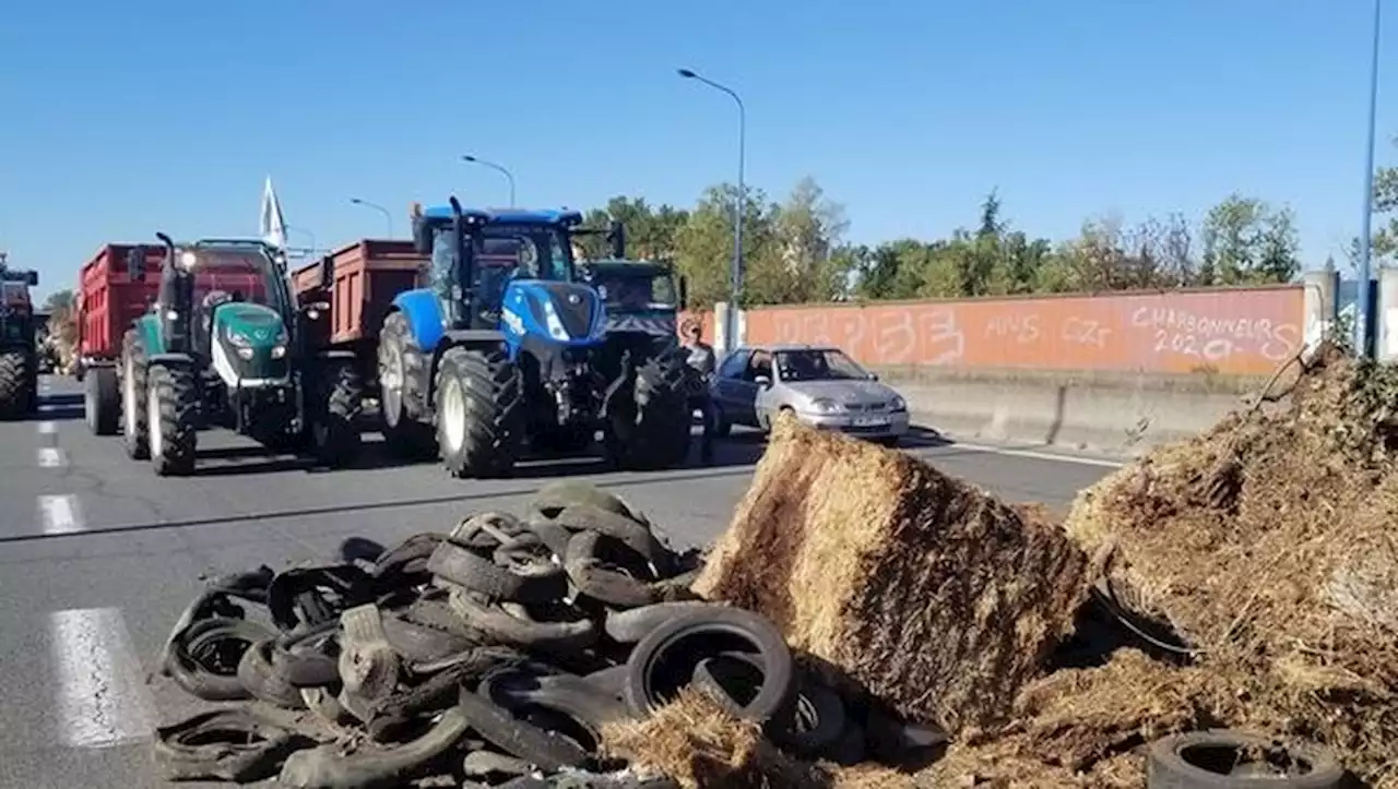 Manifestation d'agriculteurs : pourquoi 'près de 500 tracteurs' vont bloquer le périphérique parisien ce mercredi ?