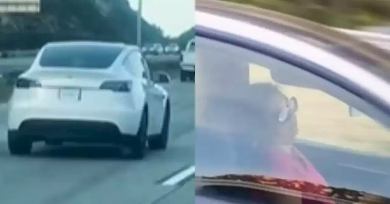 [Video] Pareja captó a una mujer que se quedó dormida mientras conducía un Tesla