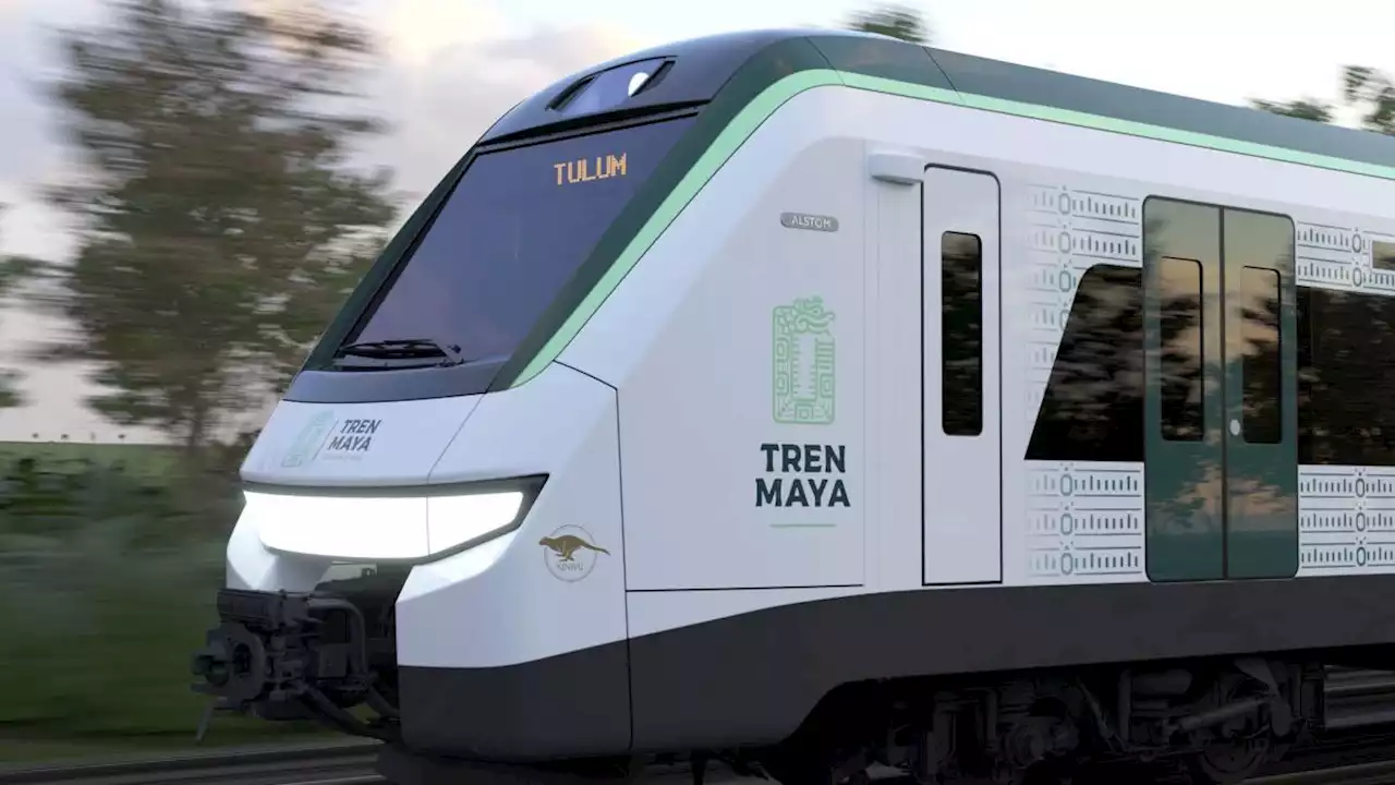 Juez concede suspensión definitiva del Tramo 5 del Tren Maya en Quintana Roo