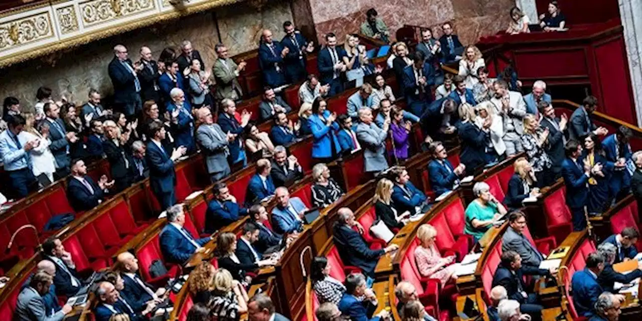 Réforme des retraites : les régimes spéciaux au menu des députés