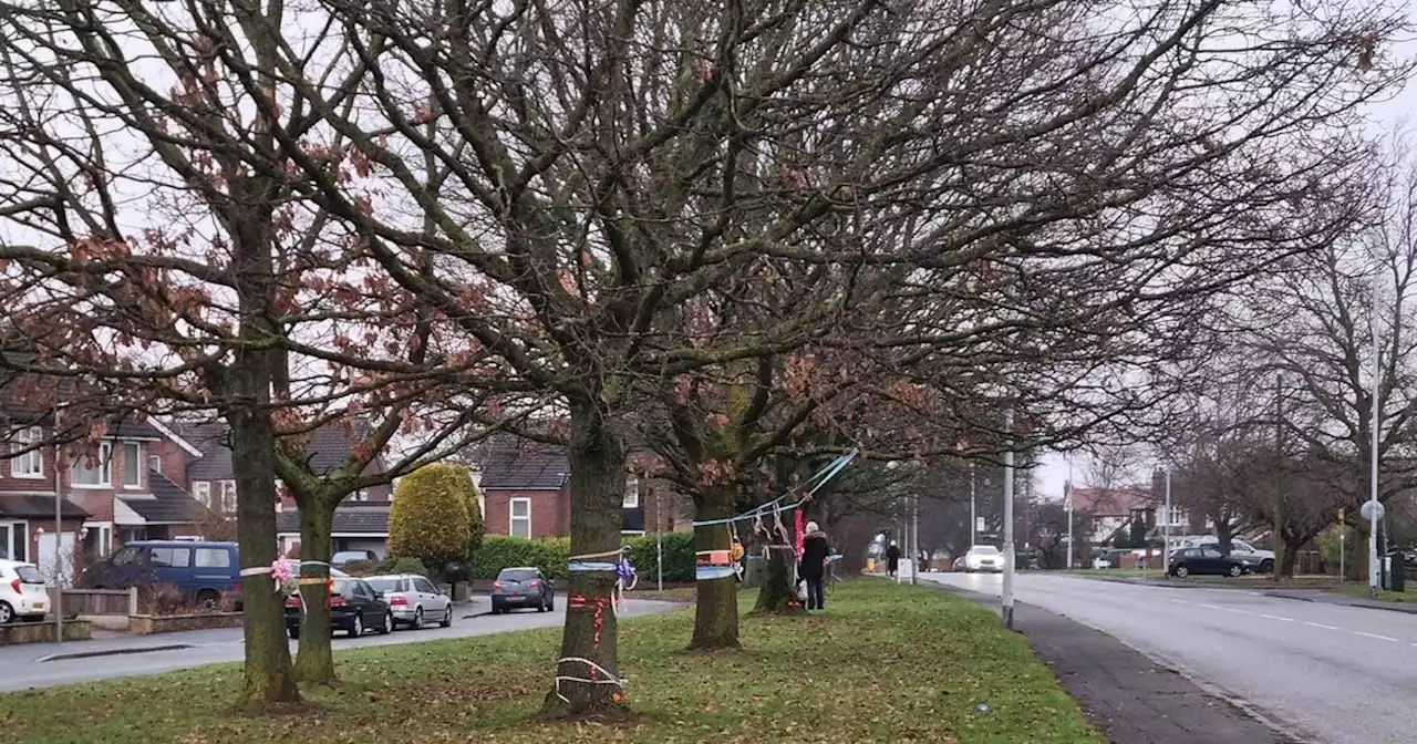 Residents left perplexed after mysterious orange marks appear on trees