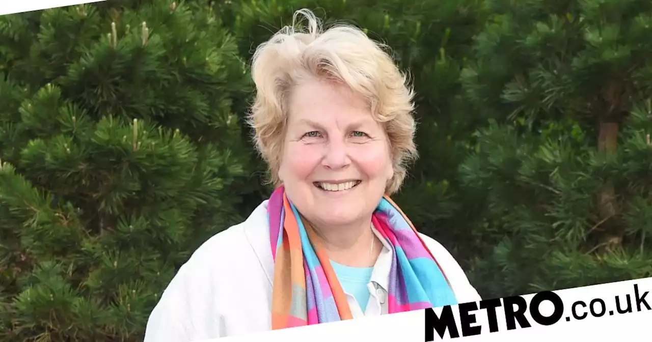 Sandi Toksvig 'can't sit by and let LGBTQ+vcommunity suffer' in Church row