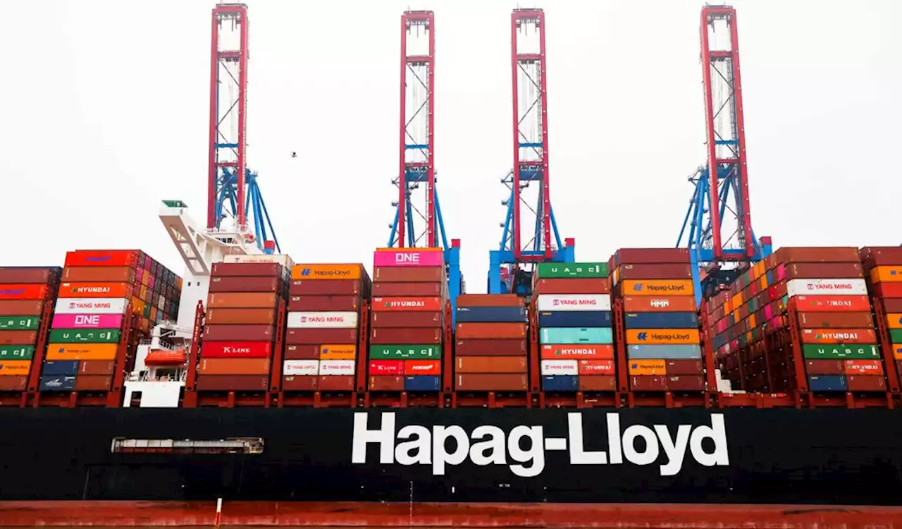 Hamburg kassiert Rekord-Dividende von Hapag-Lloyd: Wer kriegt das Geld?