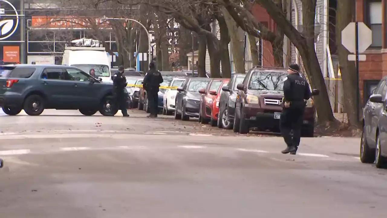 SWAT Investigation Underway After Dogs Found Shot in Lakeview