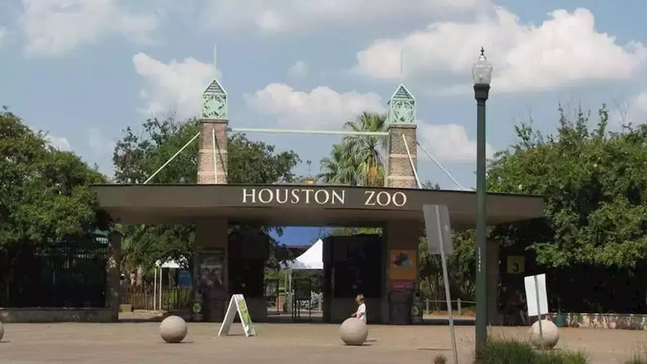 Mesh Fence Found Cut at Houston Zoo Pelican Habitat