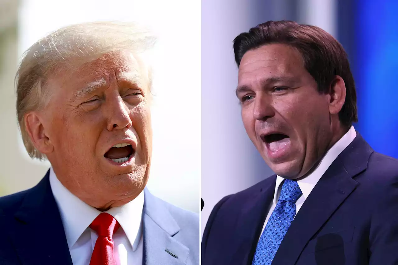 Trump shares DeSantis 'grooming' accusation just as governor defends him