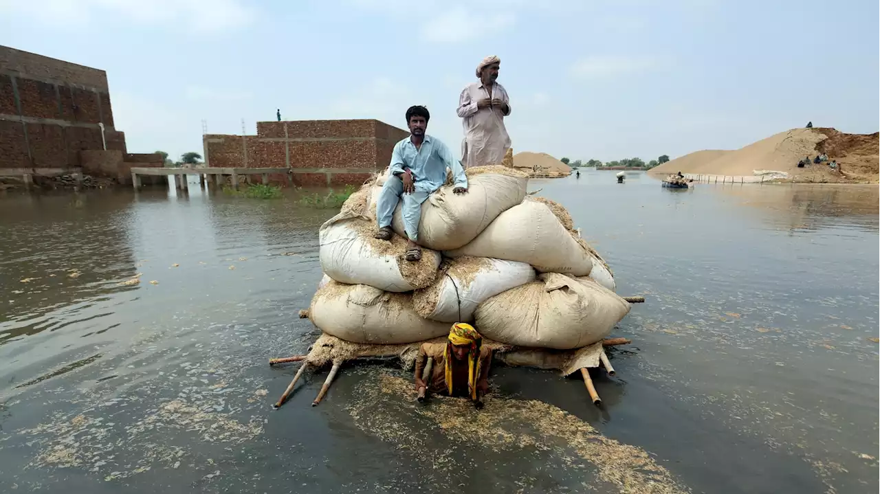 Why the EPA puts a higher value on rich lives lost to climate change