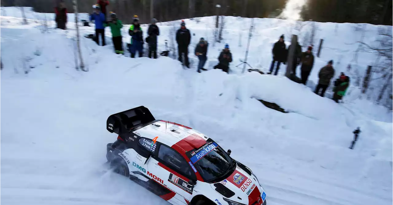 Guide: Svenska rallyt i Umeå