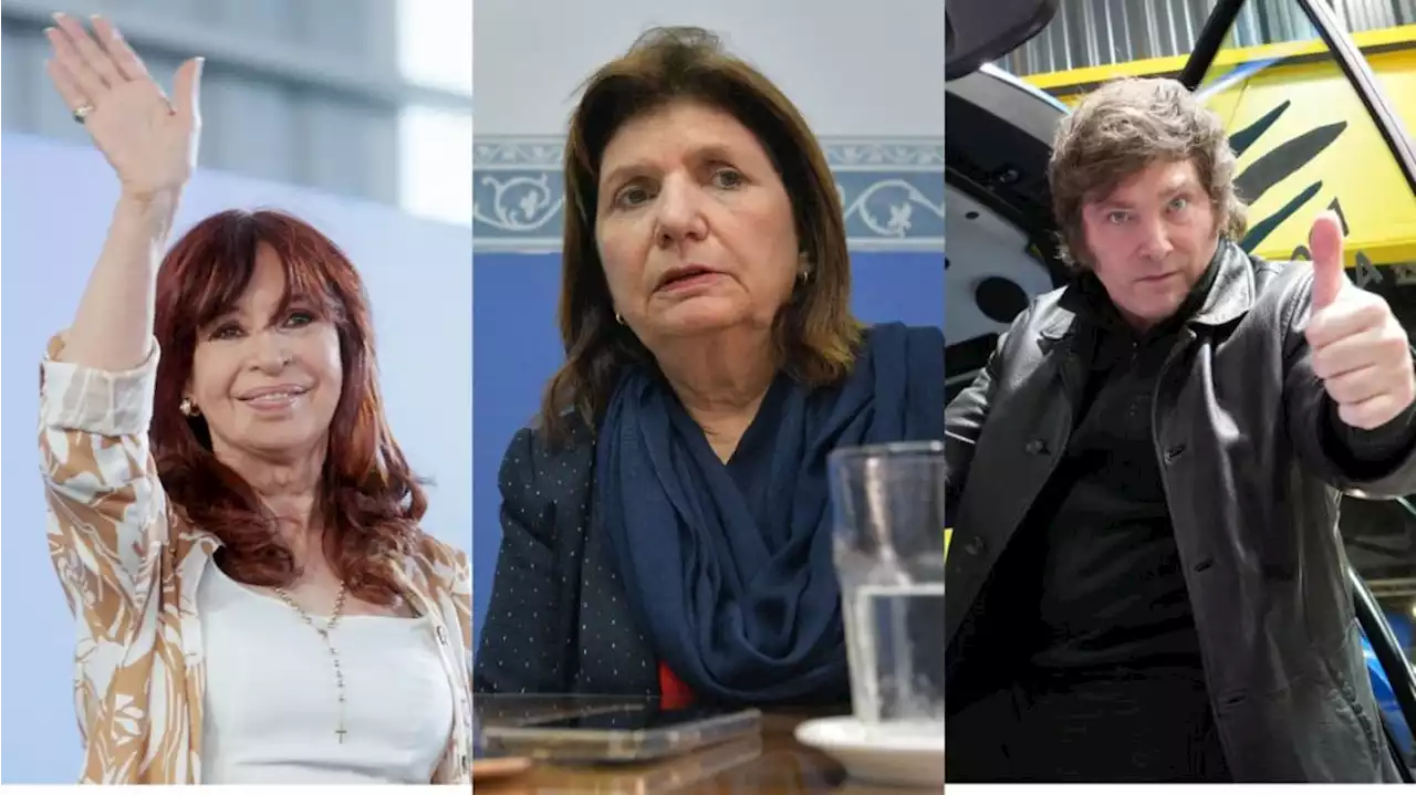 Cómo son y qué piensan los votantes de Cristina Kirchner, Patricia Bullrich y Milei