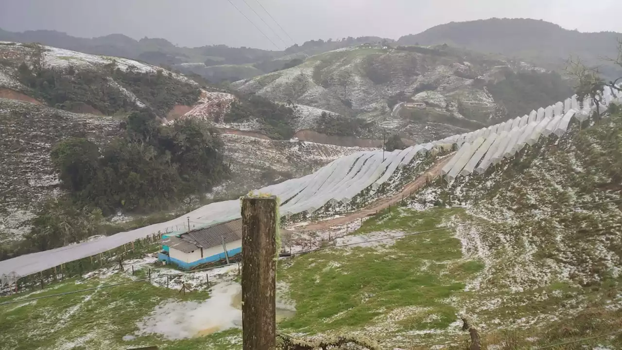 [Fotos] No son los Alpes; montañas de Antioquia quedaron blancas por fuerte granizada - Pulzo