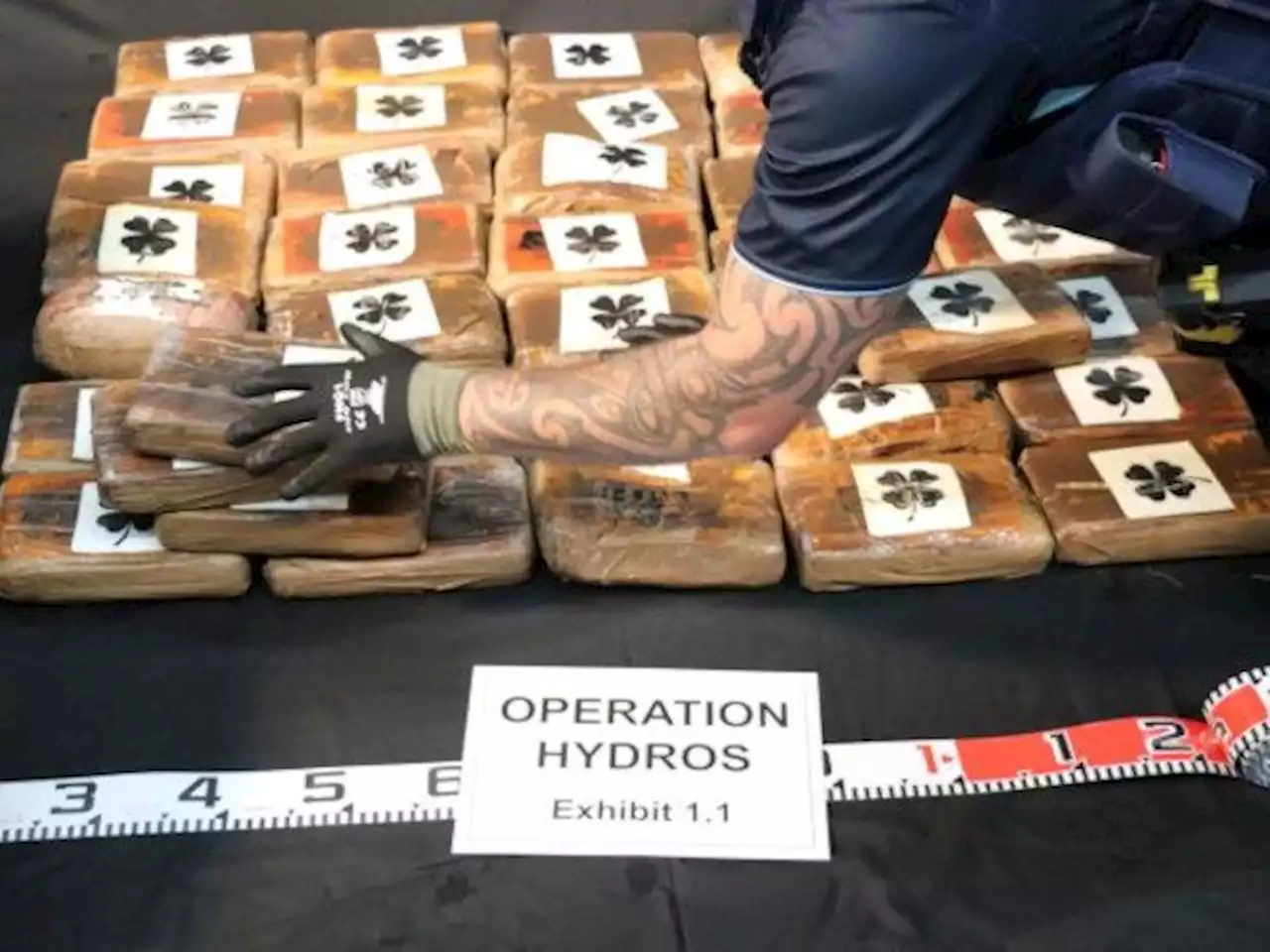 New Zealand recovers $300 million of cocaine floating at sea