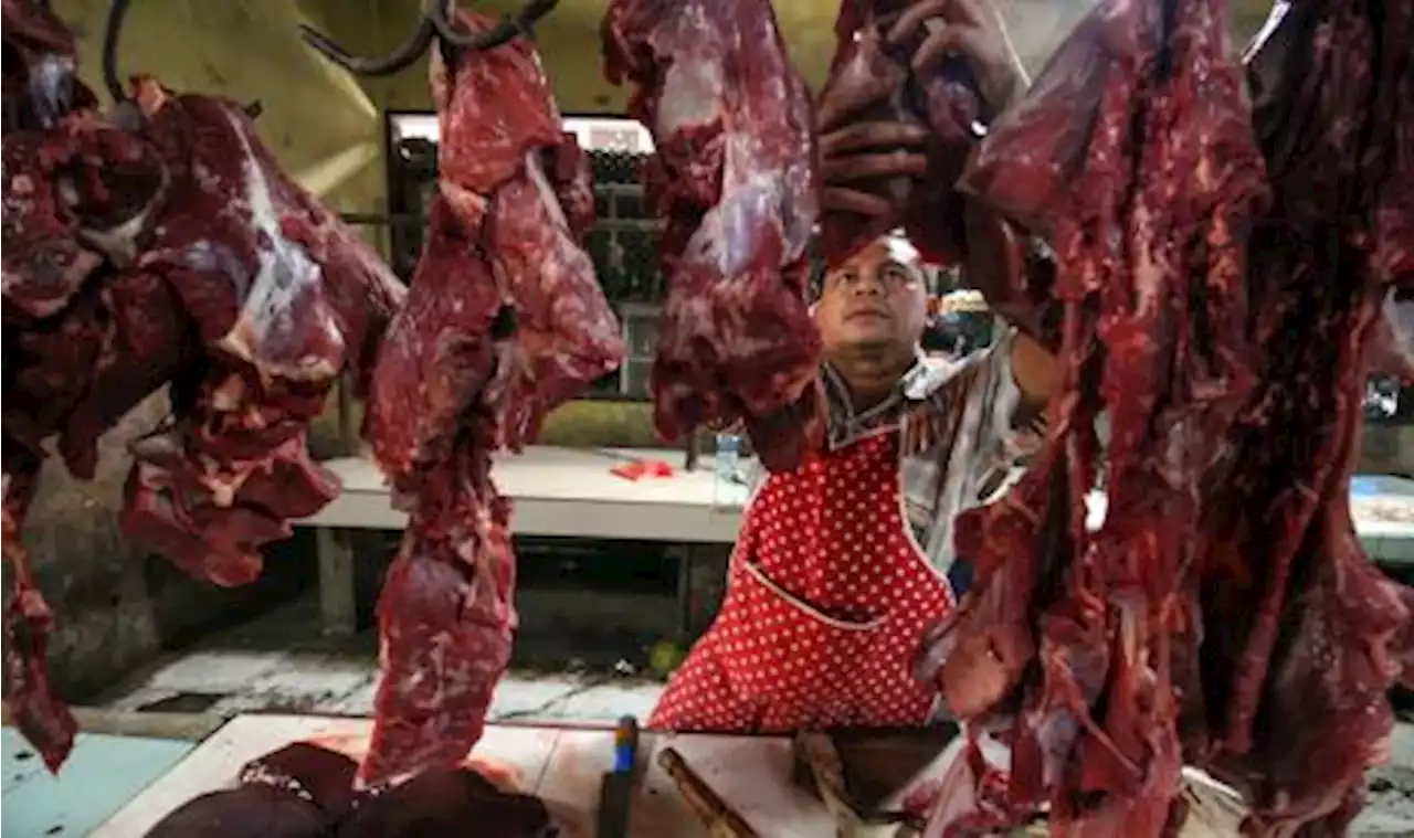 Badan Pangan Minta Impor Daging Sapi dan Kerbau Dipercepat |Republika Online