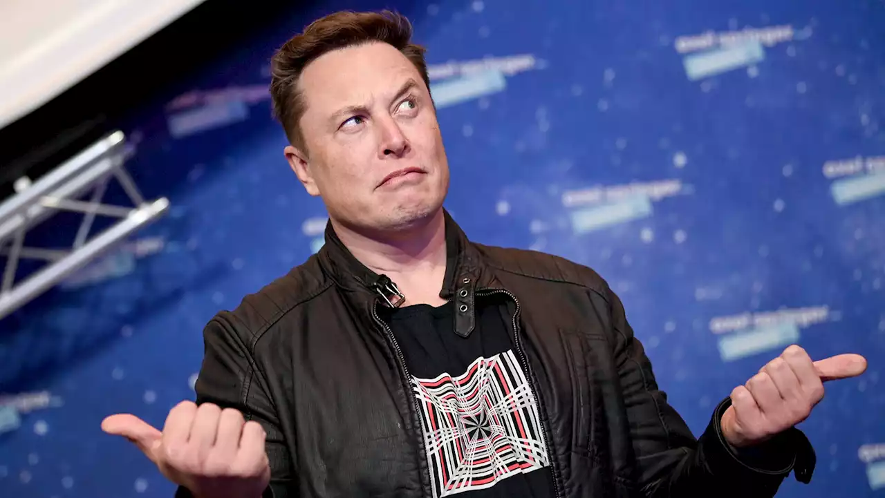 Elon Musk's Newest Twitter Update: Tweets So Long You Will Never Read Them