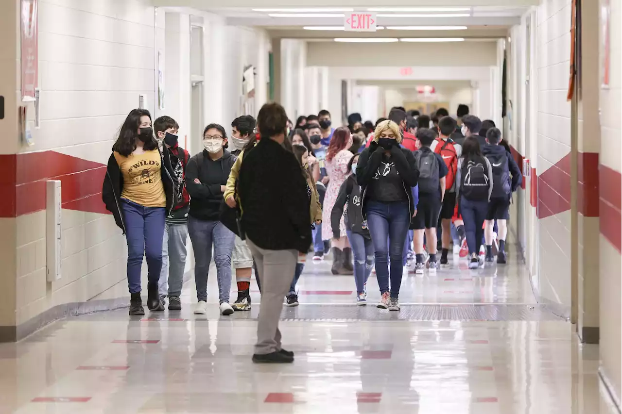 Bexar County funds expanded mental health services for schools