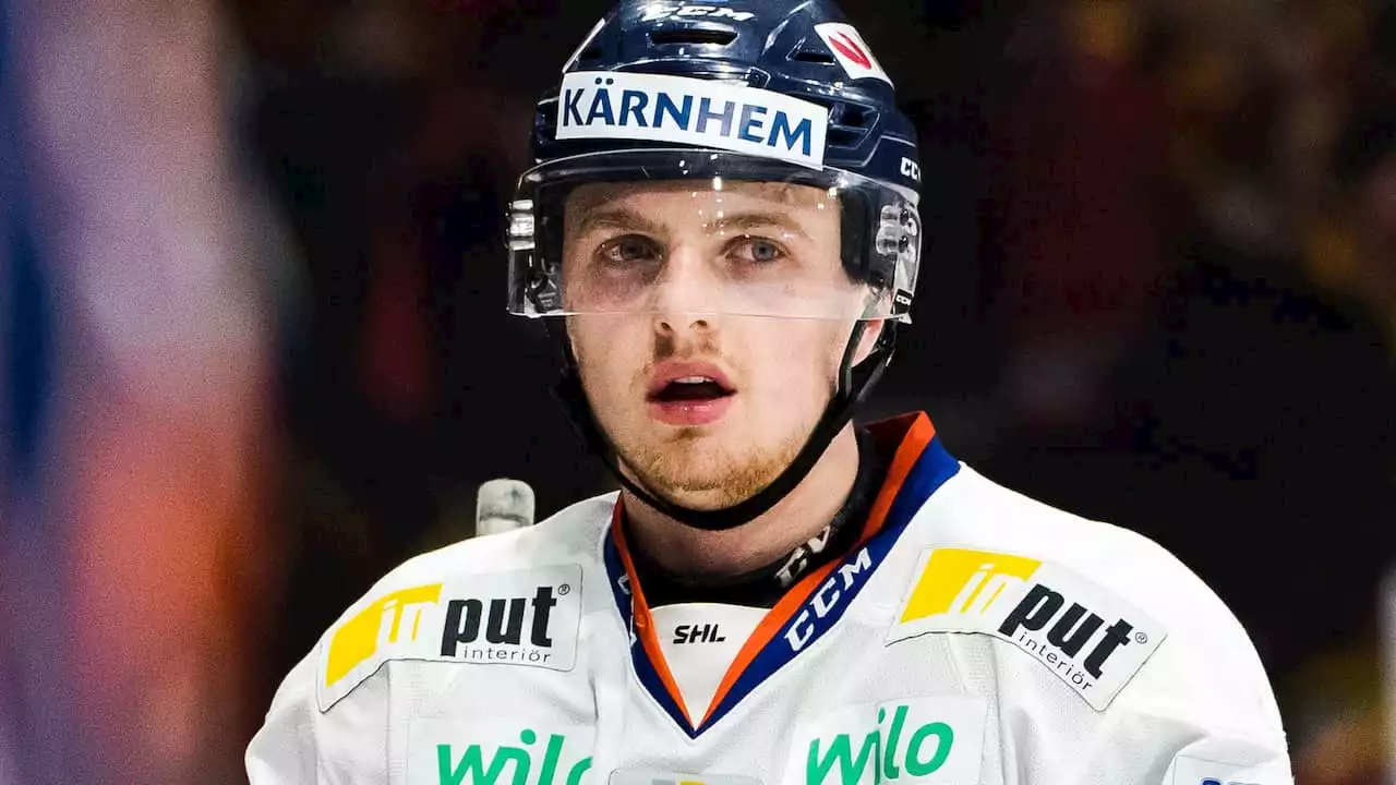 Avslöjar: Linus Högberg på väg tillbaka till SHL • Skellefteå huvudspåret