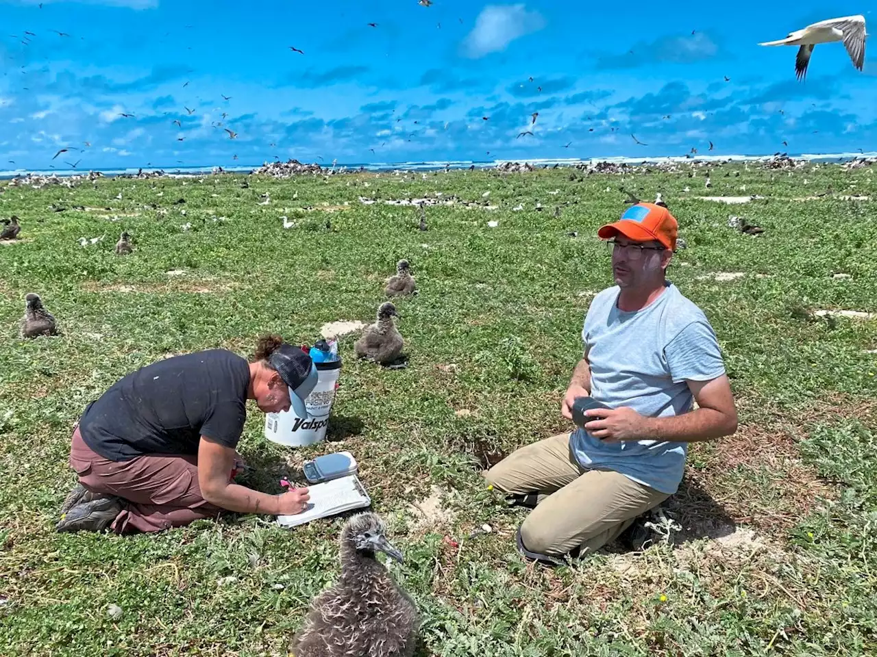 Moving species to save them fast gaining traction due to climate change
