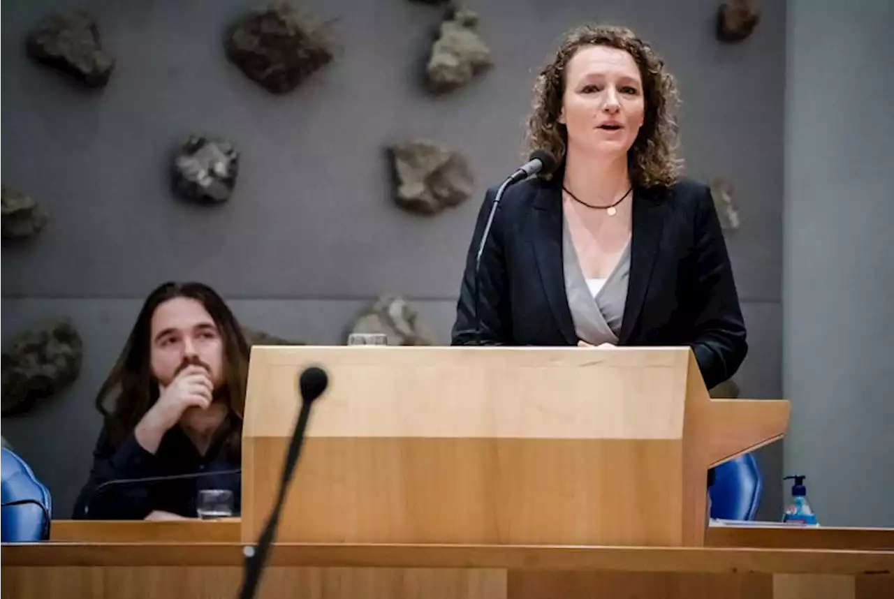 SP-Kamerlid Renske Leijten wakkert het debat over het correctief referendum weer eens aan