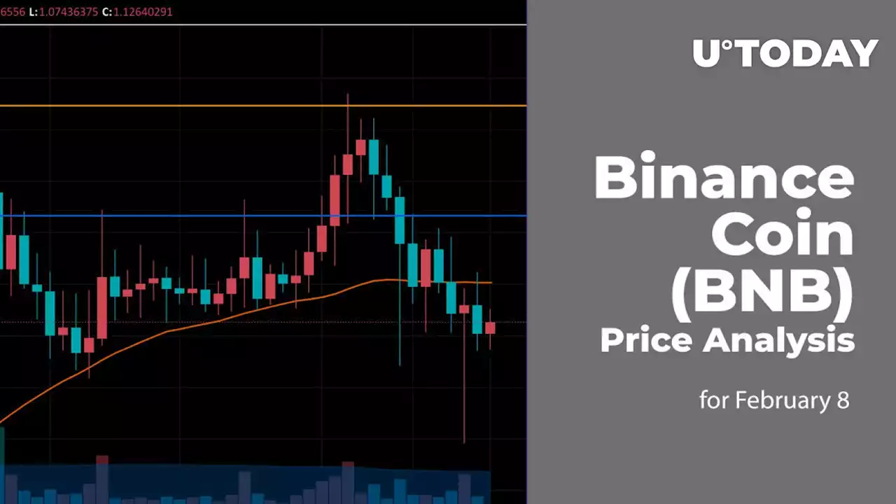 Binance Coin (BNB) Price Analysis for February 8