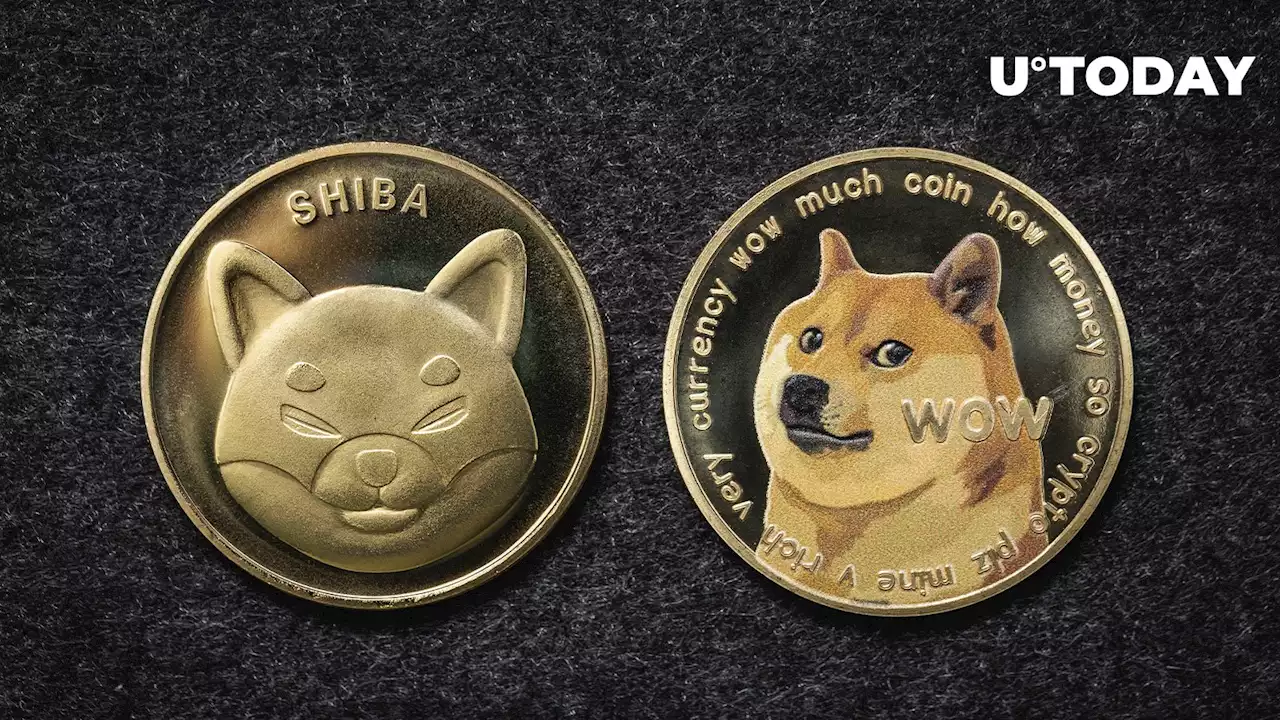 CEO Slams Shiba Inu (SHIB) and Dogecoin (DOGE) as 'Garbage'