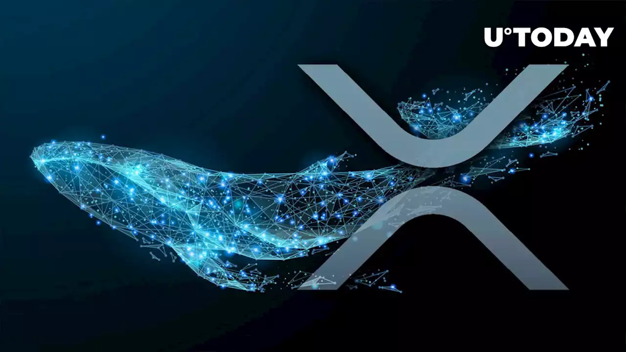 Millions of XRP on Move, What Are Whales Up To?