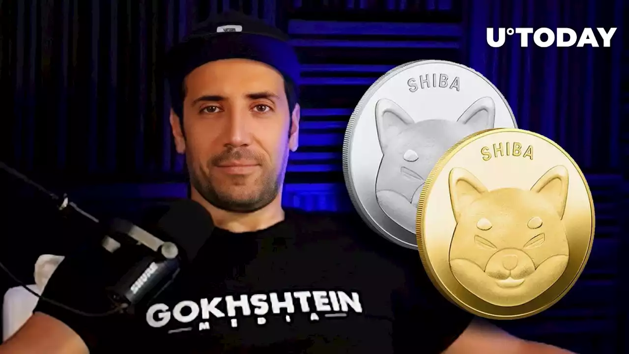 Shiba Inu (SHIB)? I'm So Close to Grabbing Meme Coins Again: David Gokhshtein