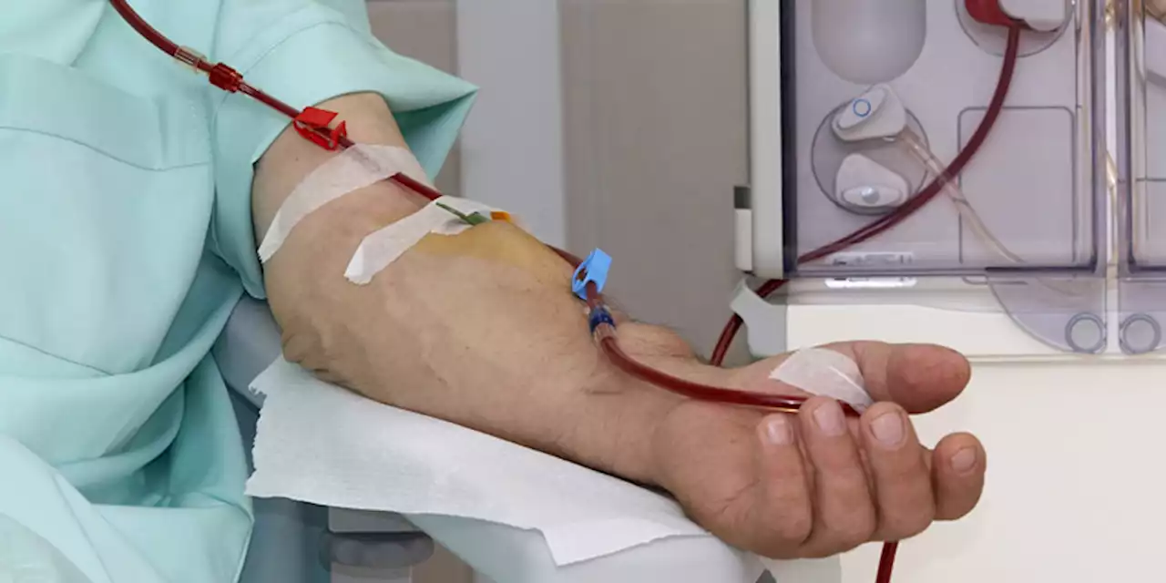 Blacks, Hispanics on Dialysis Have Higher Staph Infection Rates, CDC Says