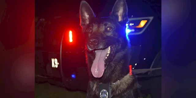 Retired police K-9 dies with handler by his side: ‘You protected us well’