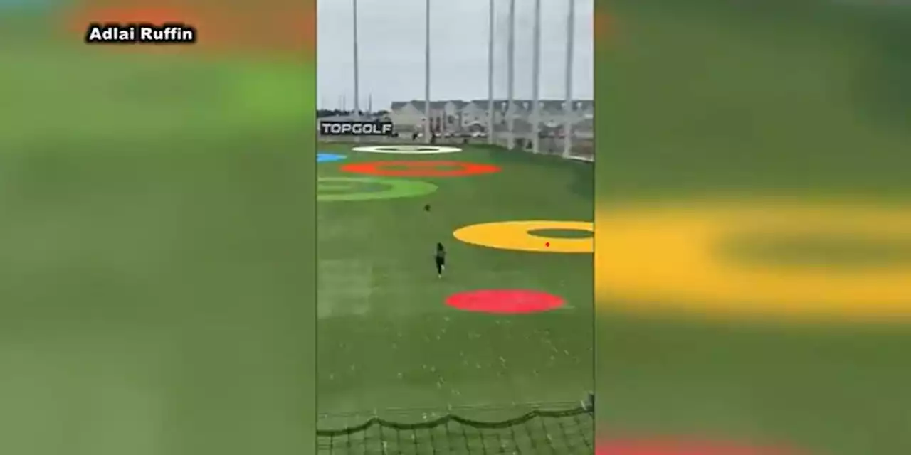 VIDEO: Topgolf employee chases after child running on driving range