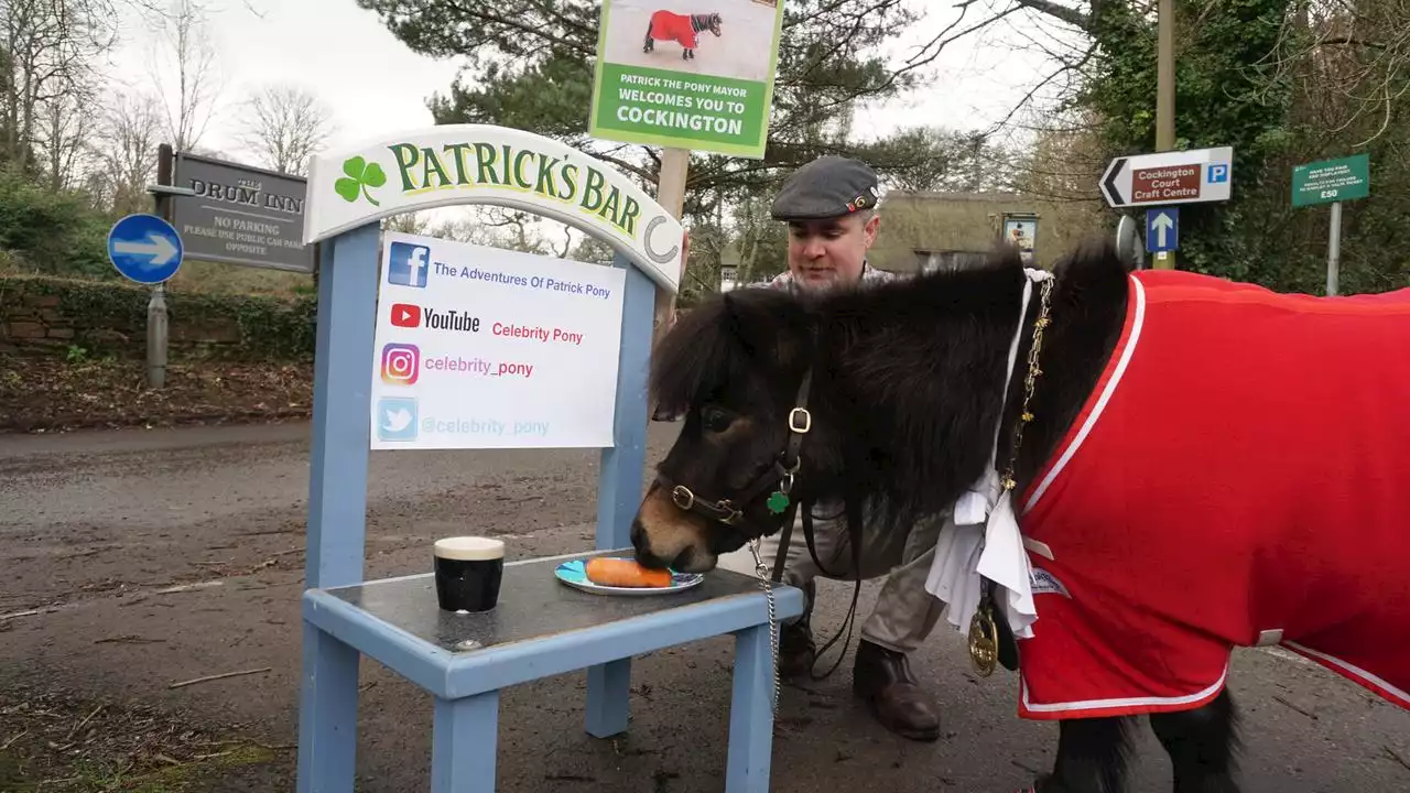 Cockington: Bürgermeister mit Pferdeschwanz