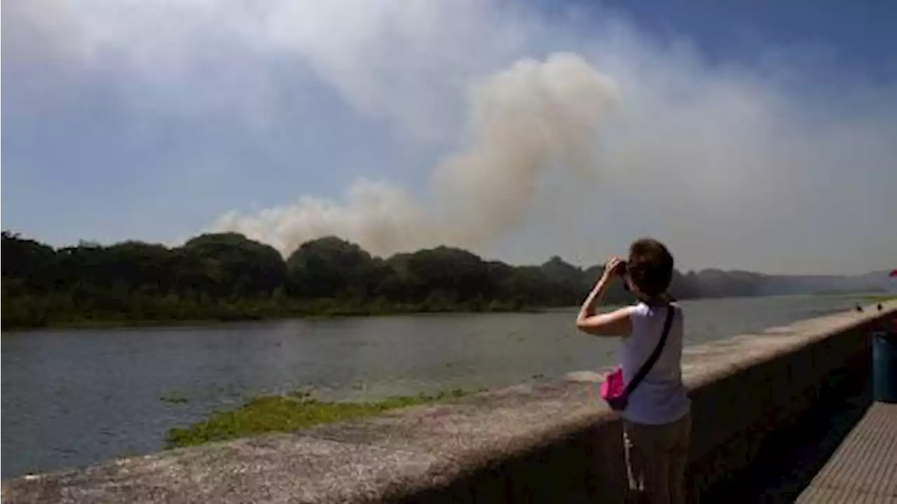 Investigan si los incendios en la Reserva Ecológica fueron intencionales