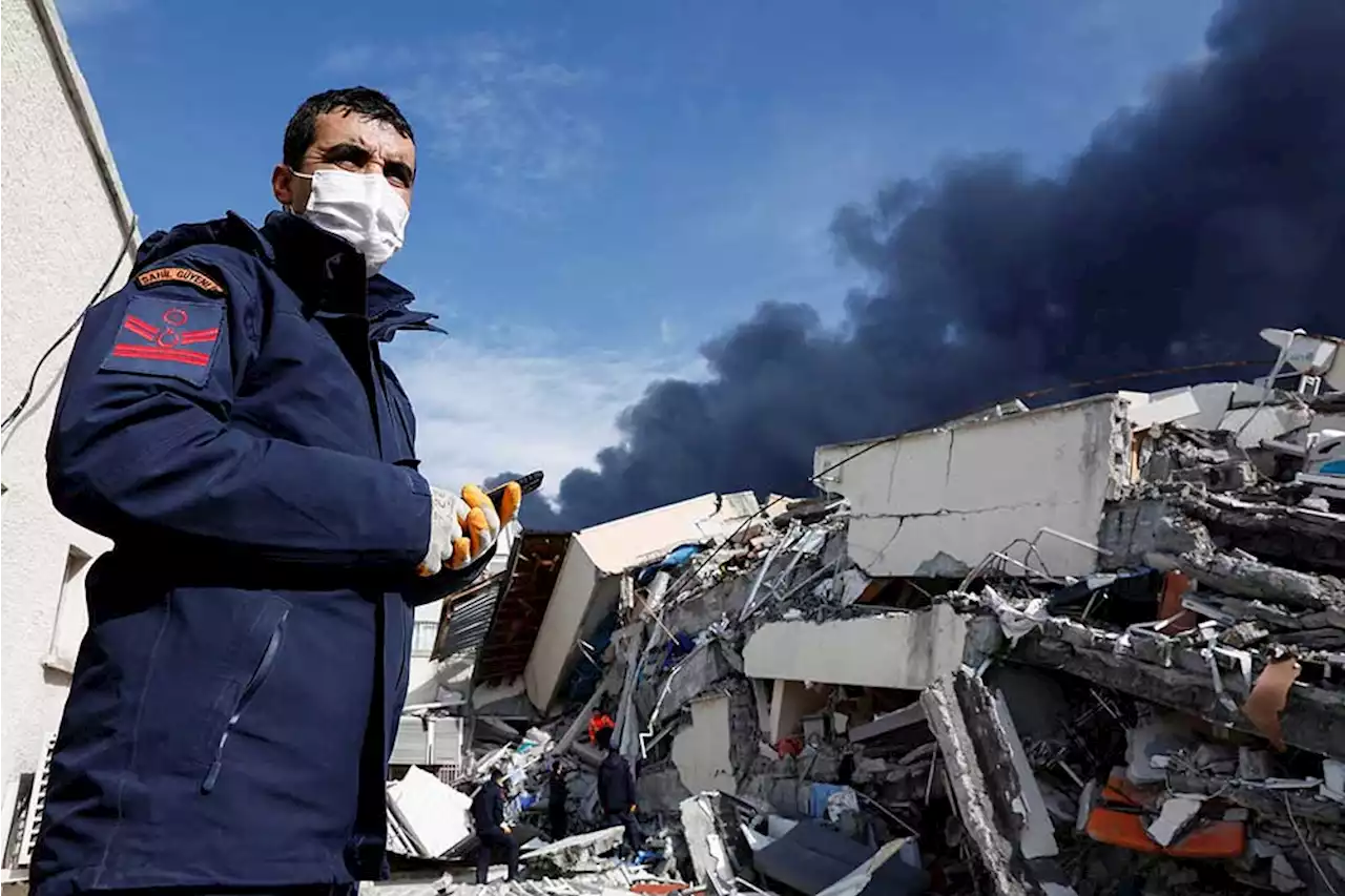 Hewan-hewan di Turki Bertingkah Aneh sebelum Gempa, Ilmuwan Bongkar Alasannya