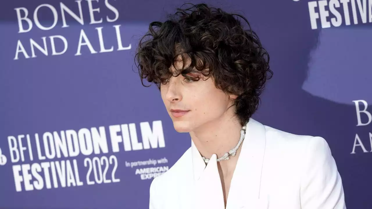 My Quest For Perfect Timothée Chalamet Hair