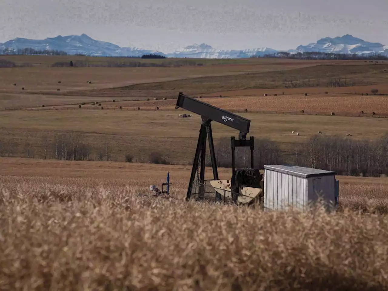 Alberta to pilot oil and gas royalty breaks for legally required well cleanup