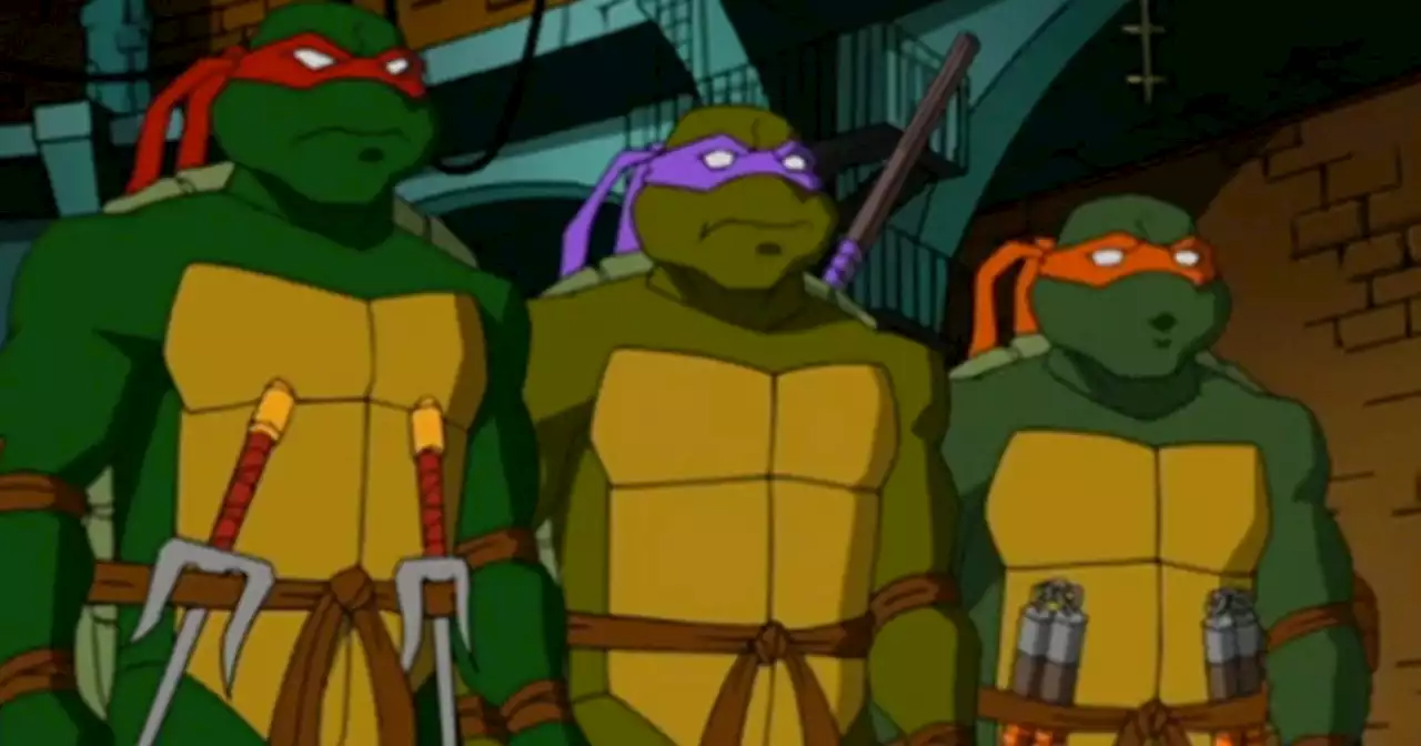 Teenage Mutant Ninja Turtles' 2003 Series Remains Underrated 20 Years Later