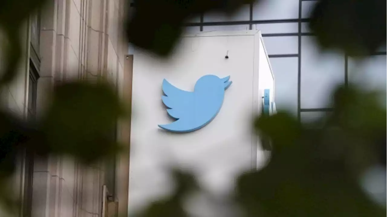 Twitter scrambles to fix meltdown as many unable to tweet