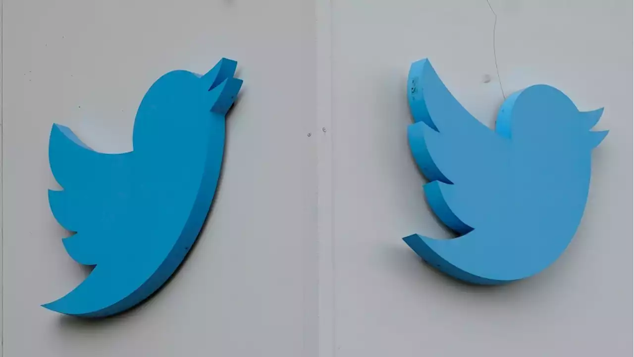 Twitter scrambles to fix meltdown as many unable to tweet