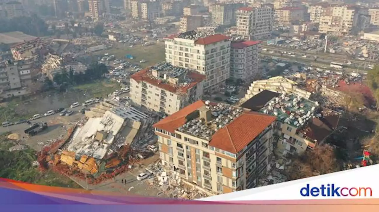 Heboh Tingkah Aneh Burung dan Anjing Sebelum Gempa Turki