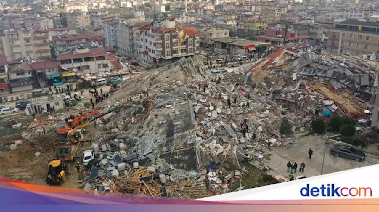 Soal Perilaku Abnormal Hewan Sebelum Gempa Turki, Benarkah Binatang Bisa Mendeteksi?